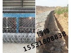 國內(nèi)水利工程專用固濱籠 大品牌廠家的專業(yè)之選